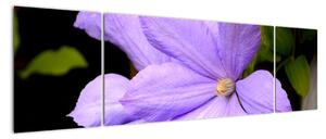 Obraz kvetu (Obraz 170x50cm)