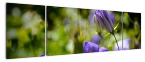 Modrá kvetina - obraz (Obraz 170x50cm)