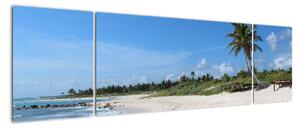 Exotická pláž - obraz (Obraz 170x50cm)