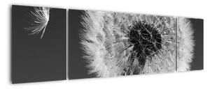 Odkvitnutá púpava - obraz kvetín (Obraz 170x50cm)