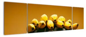 Banány na váhe - obraz na stenu (Obraz 170x50cm)
