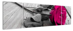 Ruže fialová - obraz (Obraz 170x50cm)