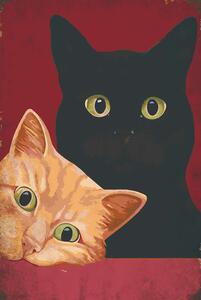 Ceduľa Cats 30cm x 20cm Plechová tabuľa