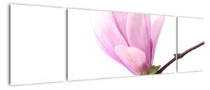 Kvet - obraz (Obraz 170x50cm)