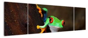 Žaba - obraz (Obraz 170x50cm)