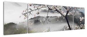 Sakura - obraz (Obraz 170x50cm)
