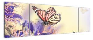 Motýle - obraz (Obraz 170x50cm)