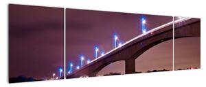 Nočná most - obraz (Obraz 170x50cm)