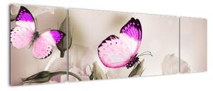 Motýľ na kvetine - obraz (Obraz 170x50cm)