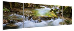 Rieka v lese - obraz (Obraz 170x50cm)
