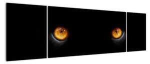 Zvieracie oči - obraz (Obraz 170x50cm)