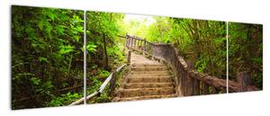 Schody v lese - obraz (Obraz 170x50cm)