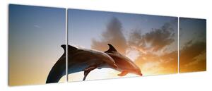 Delfíny - obraz (Obraz 170x50cm)