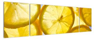Plátky citrónov - obraz (Obraz 170x50cm)