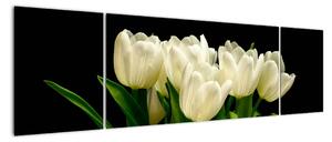 Biele tulipány - obraz (Obraz 170x50cm)