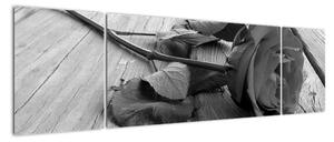 Obraz čiernobiele ruže (Obraz 170x50cm)