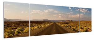 Panorama cesty - obraz (Obraz 170x50cm)