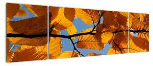 Jesenné lístie - obraz (Obraz 170x50cm)