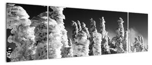 Obraz - zimné hory (Obraz 170x50cm)