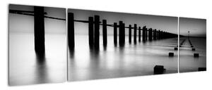 Čiernobiele mora - obraz (Obraz 170x50cm)