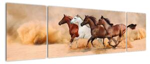 Obraz kôň (Obraz 170x50cm)