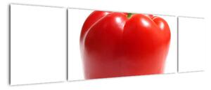 Paprika červená, obraz (Obraz 170x50cm)