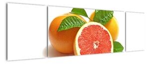 Grapefruit, obraz (Obraz 170x50cm)