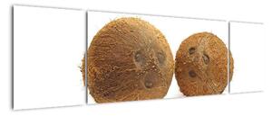 Kokosový orech, obraz (Obraz 170x50cm)
