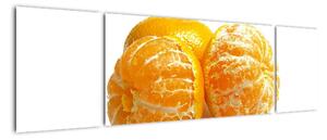 Pomaranče, obraz (Obraz 170x50cm)