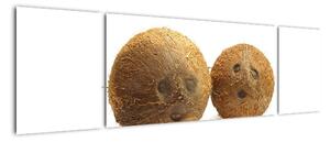 Kokosový orech, obraz (Obraz 170x50cm)