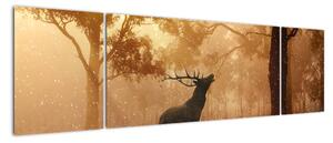 Jeleň v prírode (Obraz 170x50cm)
