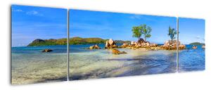 Panorama exotiky, obraz (Obraz 170x50cm)