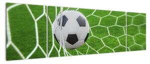 Futbalová lopta v sieti - obraz (Obraz 170x50cm)