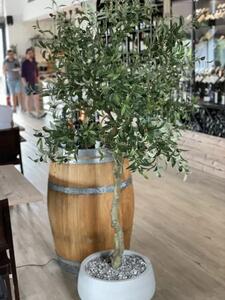 Artificial Olive Tree 205cm