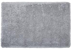 Shaggy koberec s vysokým vlasom sivý polyesterový 200 x 300 cm obdĺžnikový jednofarebný