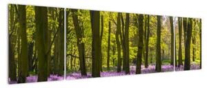 Obraz lesa (Obraz 170x50cm)