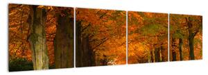 Obraz cesty lesom na jeseň (Obraz 160x40cm)