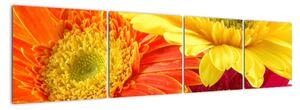 Obraz kvetov (Obraz 160x40cm)