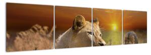 Obrazy zvierat (Obraz 160x40cm)