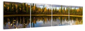 Obraz na stenu - lesné jazierko (Obraz 160x40cm)