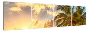 Obraz palmy na piesočnatej pláži (Obraz 160x40cm)