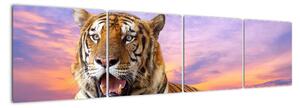 Obraz ležiaceho tigra (Obraz 160x40cm)