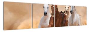 Obrazy bežiacich koní (Obraz 160x40cm)