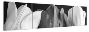 Čiernobiely obraz - tri tulipány (Obraz 160x40cm)