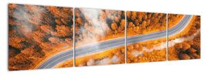 Cesta lesom - moderné obrazy na stenu (Obraz 160x40cm)