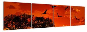 Obraz zapadajúceho slnka s vtákmi (Obraz 160x40cm)