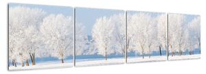 Obraz - zimná príroda (Obraz 160x40cm)