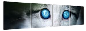 Obraz mačky, žiarivé oči (Obraz 160x40cm)