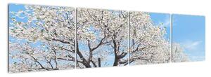 Obraz kvitnúceho stromu na jarné lúke (Obraz 160x40cm)