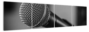 Obraz mikrofónu (Obraz 160x40cm)